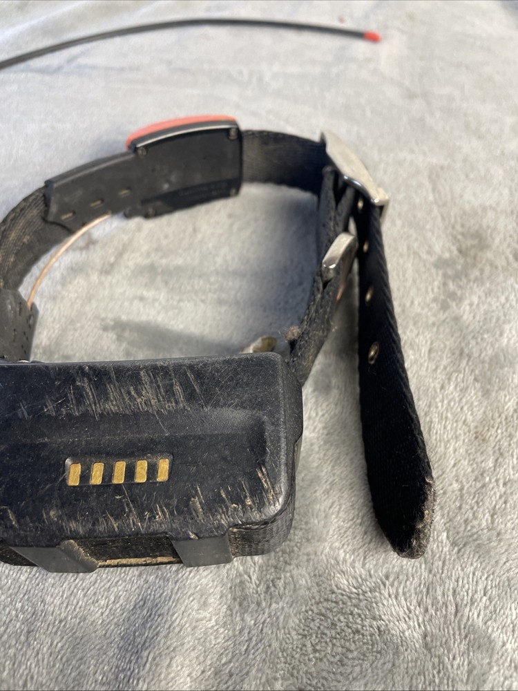 Garmin T5 GPS Dog Tracking Collar