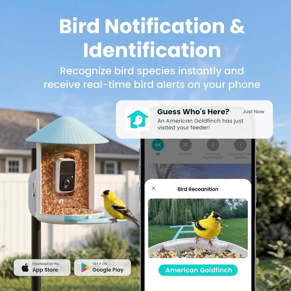 Wireless Bird Feeder with Color Night Vision