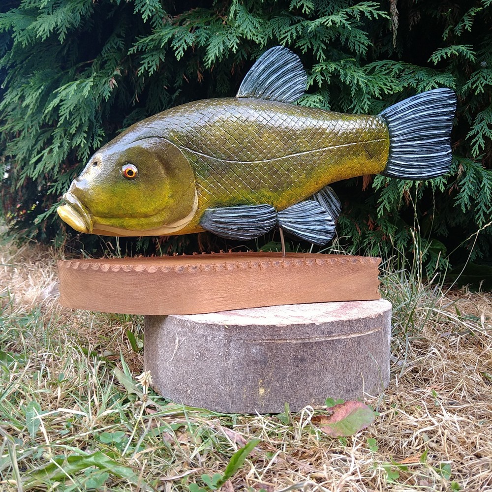 Tench Fishing , fish