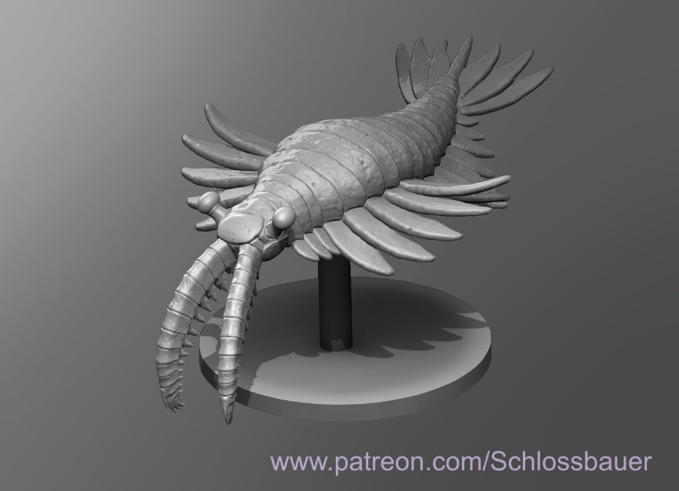 Anomalocaris Creature Monster Manual 28mm Scale DND D&D Tabletop Mini