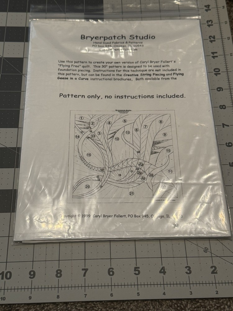 Caryl Bryer Fallert "Flying Free" 30" Wall Quilt Pattern Bryerpatch Studio