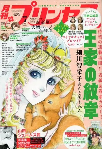 Comic magazine with appendix Princess July 2021 issue