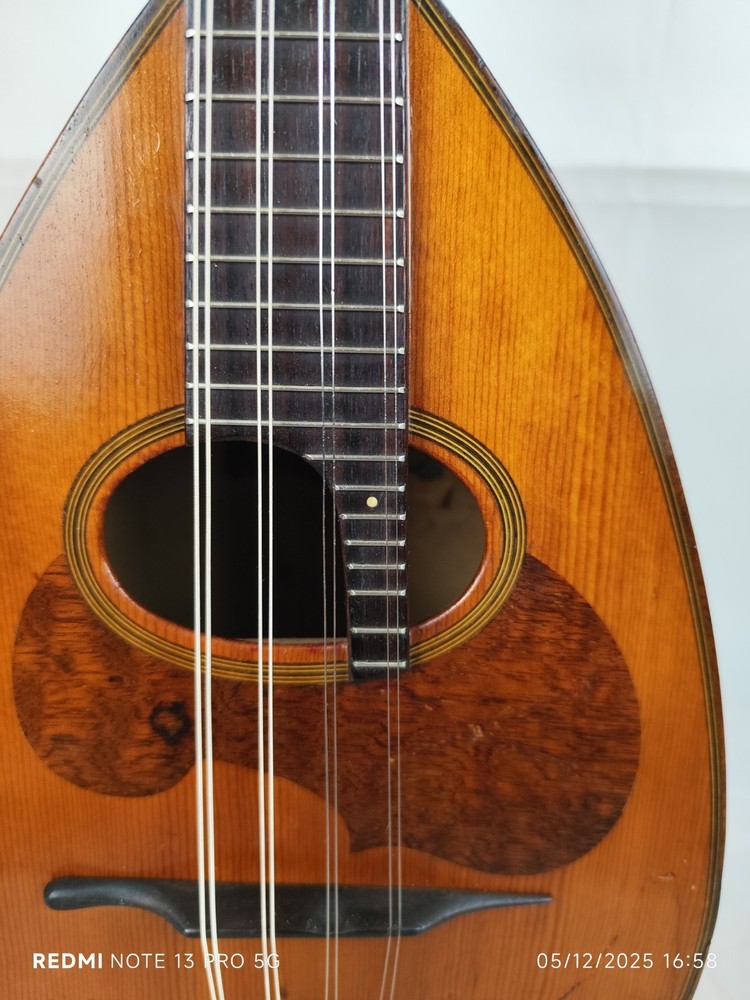 Suzuki Model M-30 4/4 Mandolin 曼陀林 만돌린マンドリン