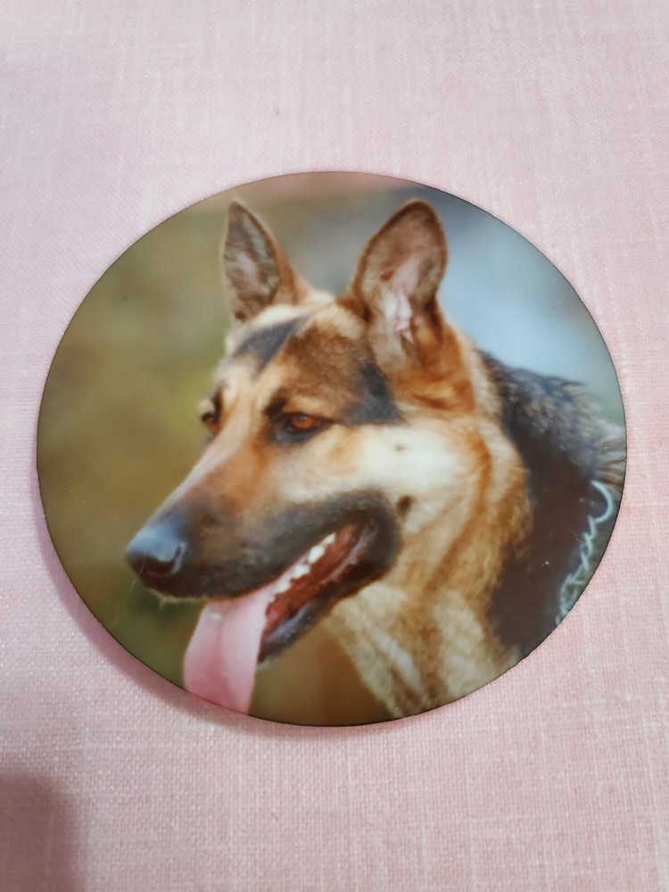 4 GERMAN SHEPHERD MAGNETS