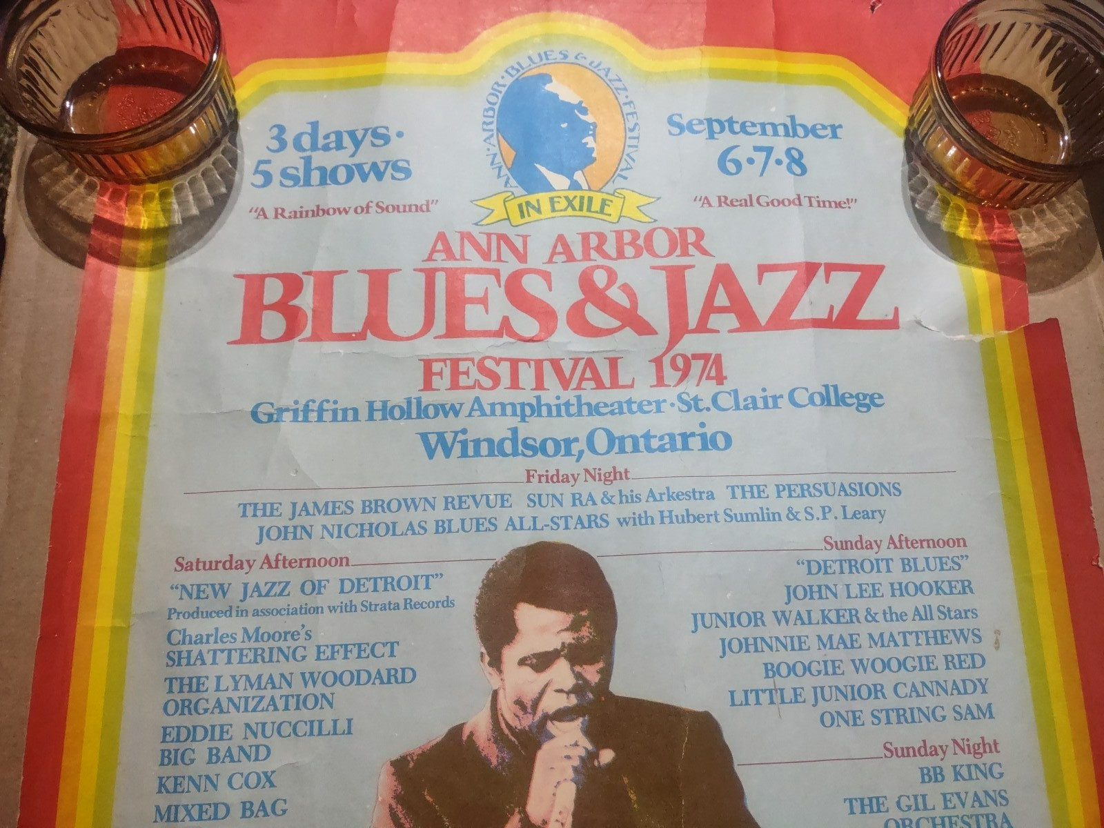ORIGINAL 1974 ANN ARBOR BLUES & JAZZ FESTIVAL POSTER FEATURING JAMES BROWN
