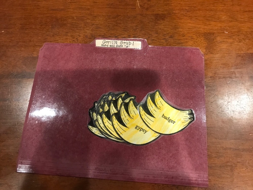 Gorilla Grub!  hard soft G 3-4 grades language arts file folder game