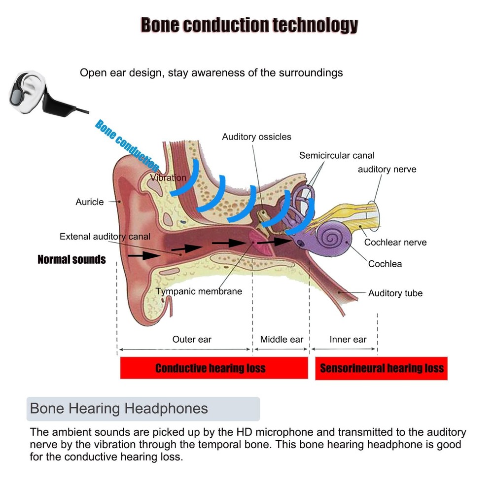 Hearing aid and Bluetooth headset dual-function bone conduction hearing aid