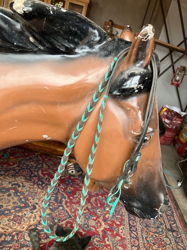 reins