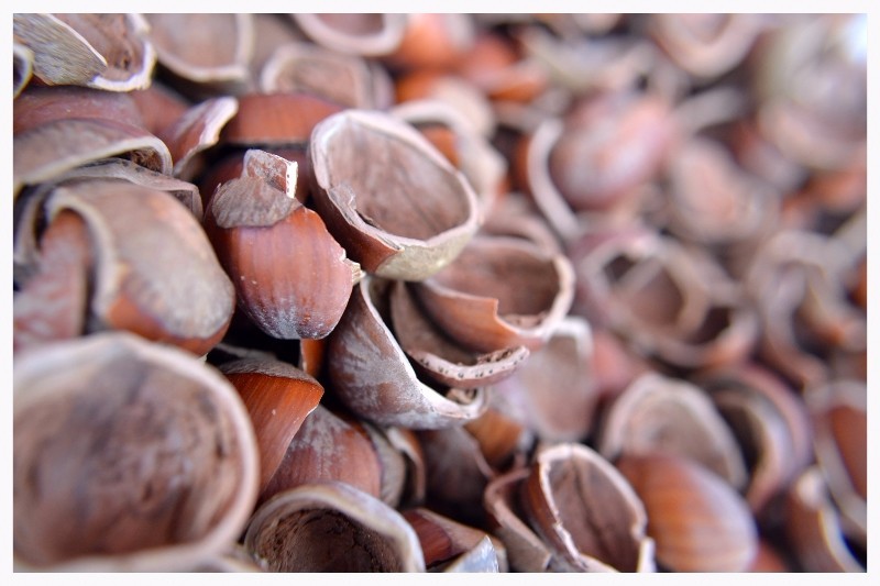 Hazel Shell Mulch - Amendment Product - 1.5 CF - 25 lbs.