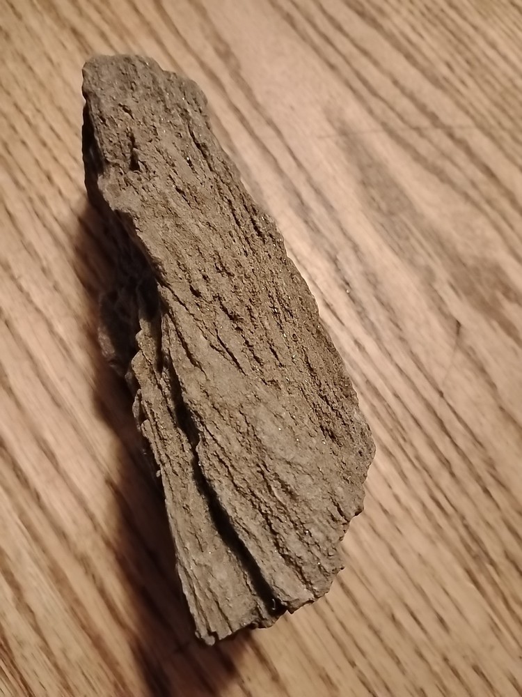 Petrified Wood 738g (Outer Bark)