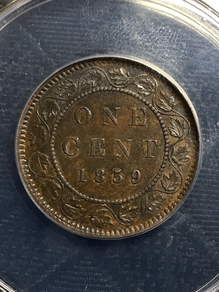 1859 Canada 1C cent Narrow 9 ANACS XF45 varieties galore
