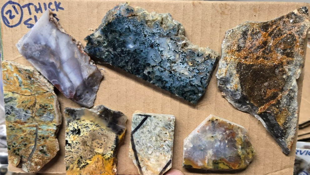 Assorted  Agates, THICK Trimmed Cabochon Slabs Preforms  7 Pcs, Flat 121