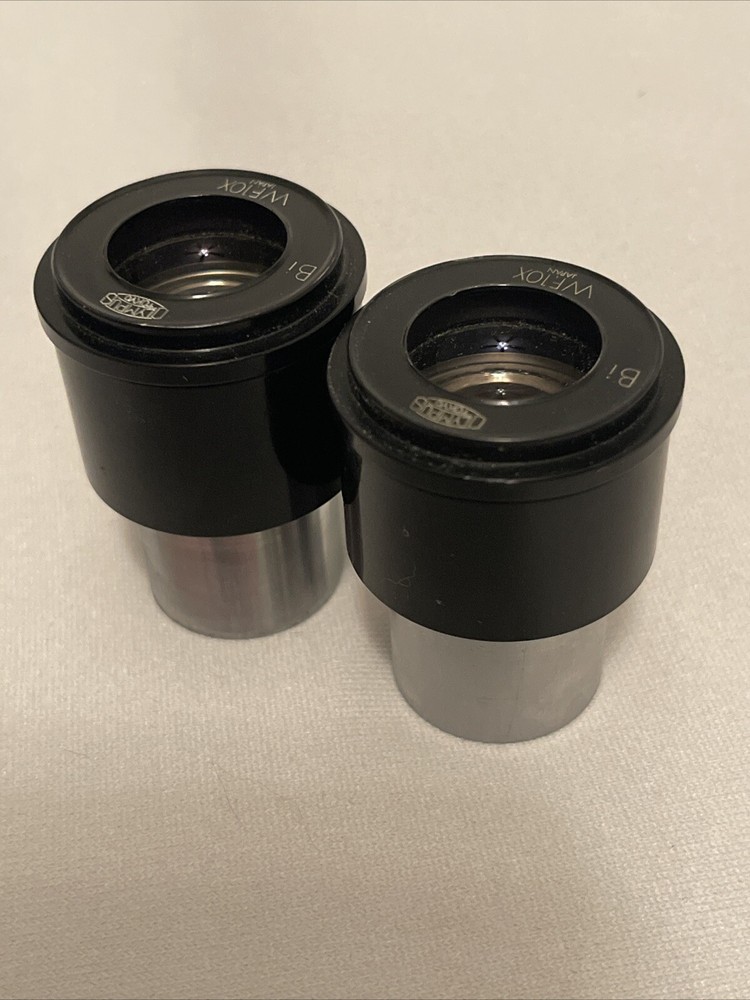 Olympus Bi WF10X Microscope Ocular Set