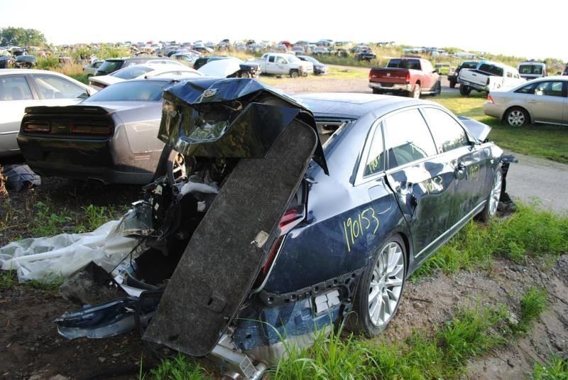 BOLT 2018 Camera/Projector 681062