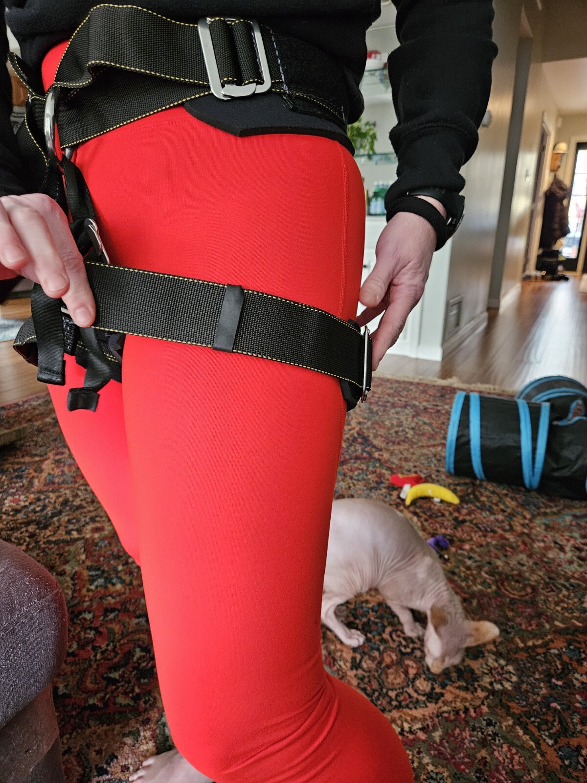 Climbing Sutra Stunt Bungee Harness Serial # 34403 Size Medium