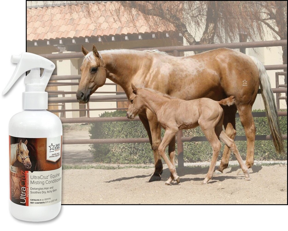 Equine Misting Conditioner, 8 oz
