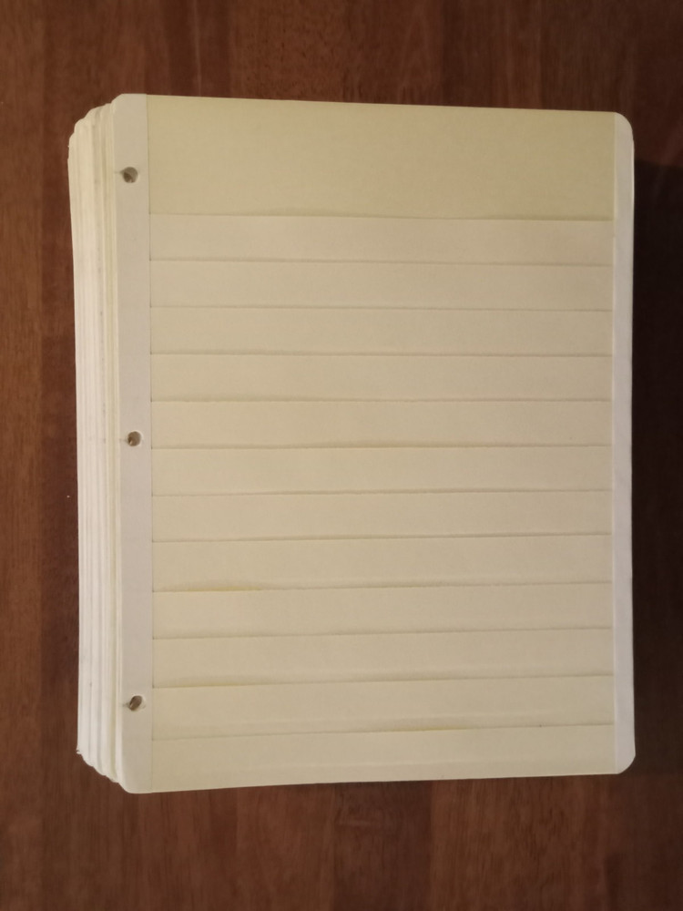 30 MANILA STAMP STOCK PAGES - 3 RING/ 12 ROWS - PREOWNED BUT EXCELLENT CONDITION