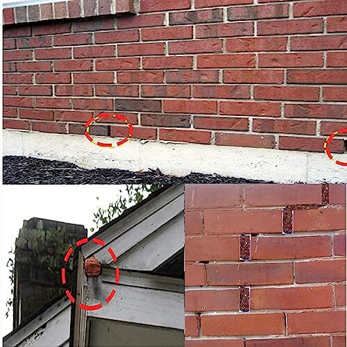 Copper Mesh Screen Copper Wool Rodent Mesh Screen Copper Wire Mesh Copper Scr...
