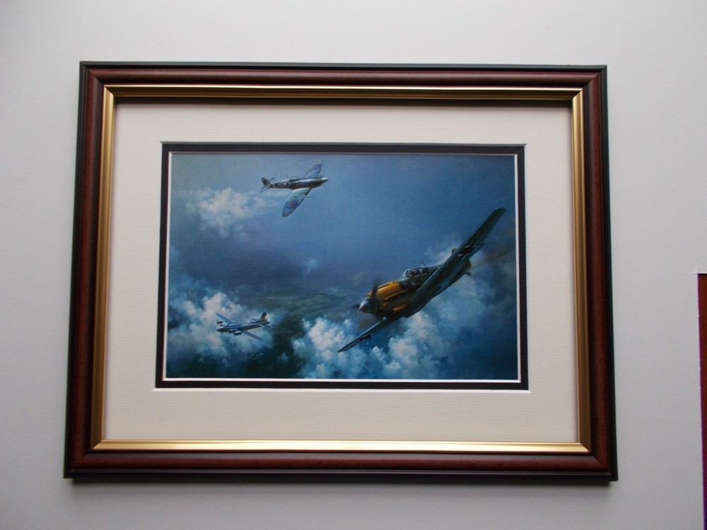 AIRCRAFT PRINT FRAMED - THE STRAGGLER