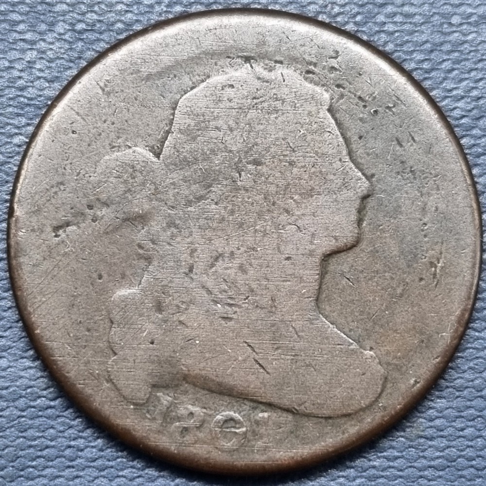 1801 Draped Bust Large Cent 3 ERRORS S-219 1c Circulated #80602