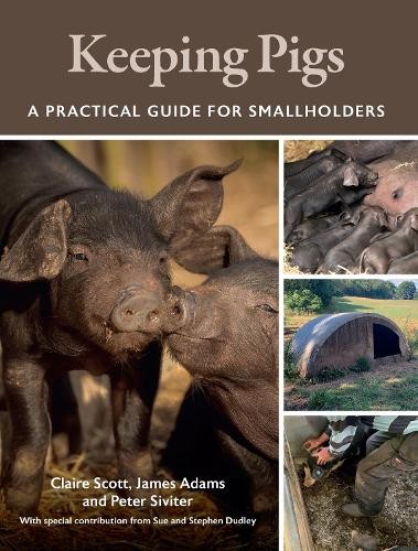Keeping Pigs - 9780719842573