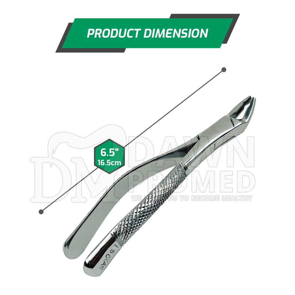 Dental Extracting Forceps #150XAS Serrated, Split Beak Design for Upper Teeth