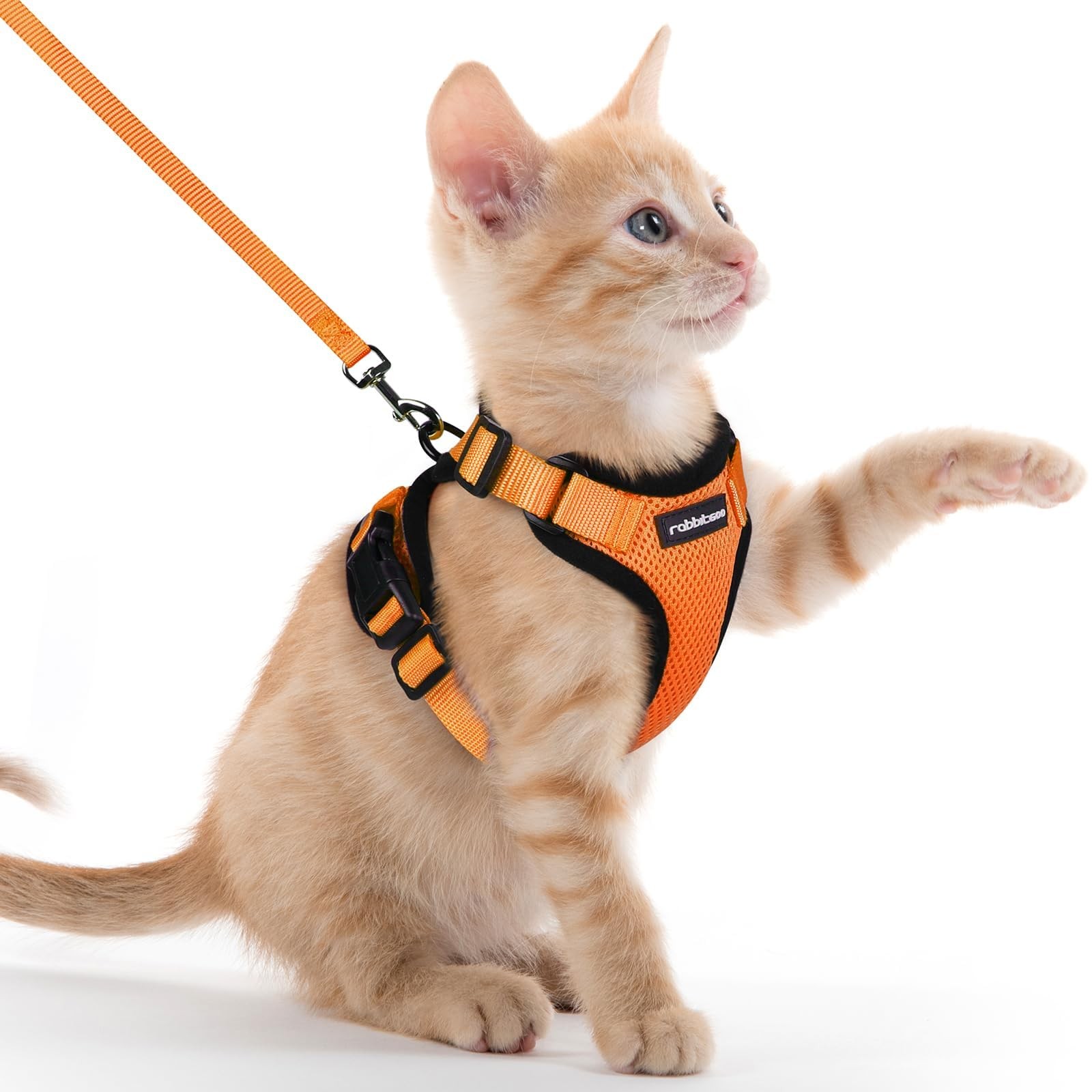 rabbitgoo Cat Harness and Lead Escape Proof Adjustable Reflective Vest Orange