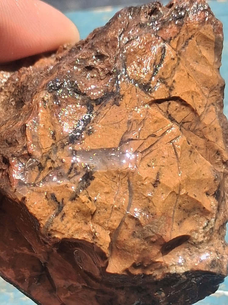 Jasper Rough Specimen Display Collect Slab Or Cab