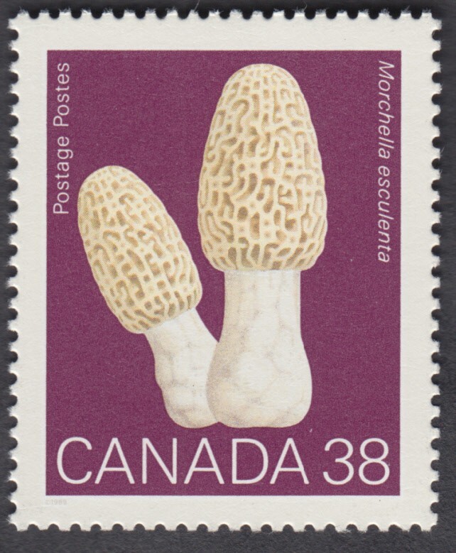 Canada - #1246 Mushrooms - MNH