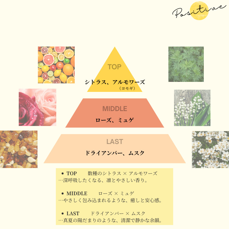 [Limited Quantity] Ways Positive Shampoo & Treatment Set