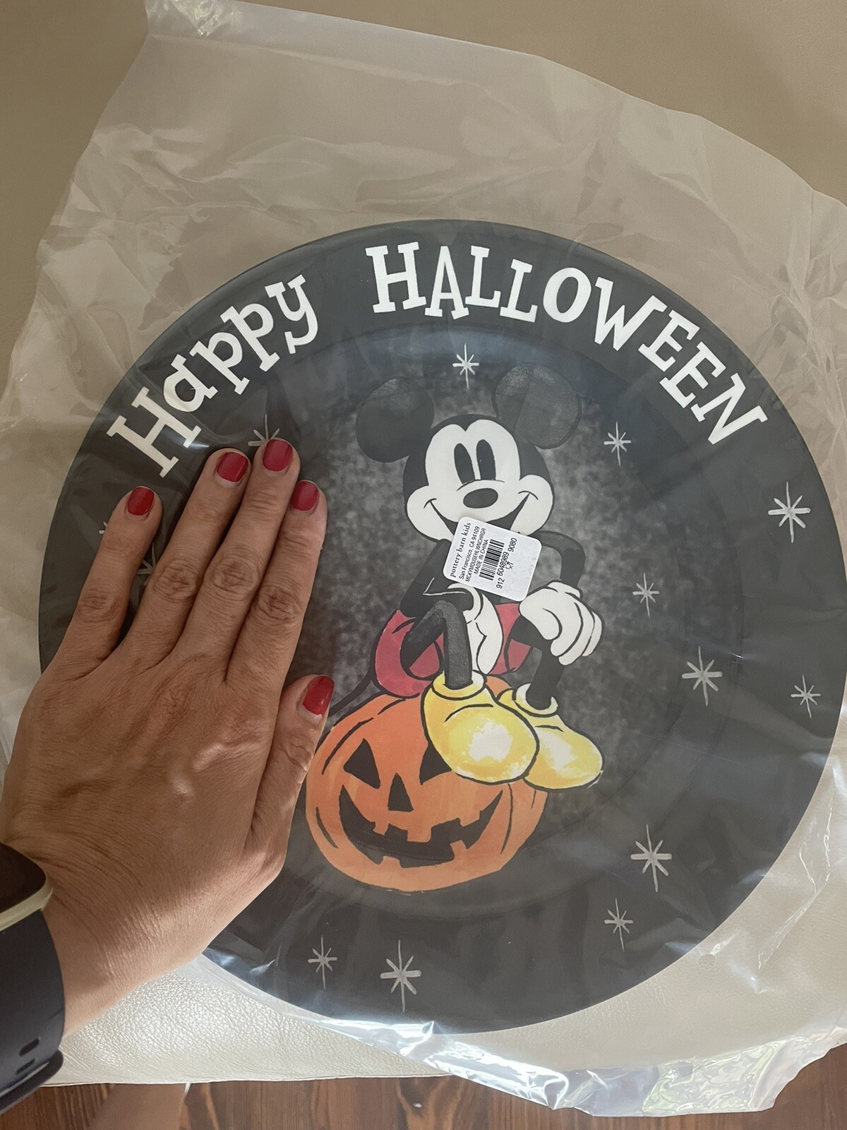 Disney Pottery Barn holiday Mickey Halloween Peanuts Dinner Party Plate SET 8 !
