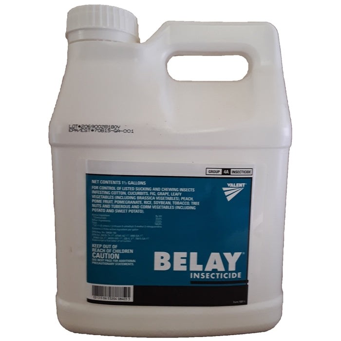 Belay 1.5GAL