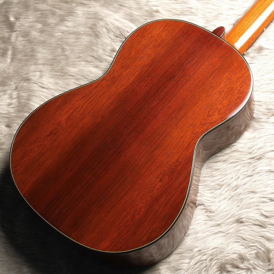 VICENTE CARRILLO Maestro NX
