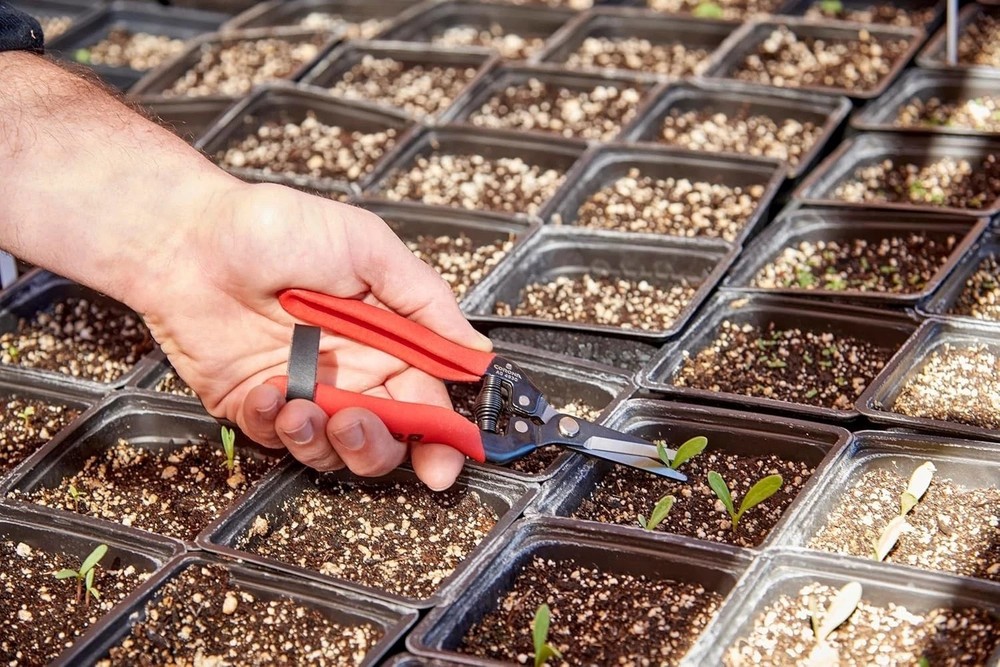 Precision Long Straight Snip Pruning Shears - Lightweight & Durable Design
