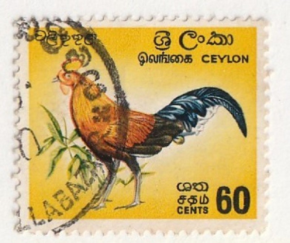Ceylon         377          used        Birds