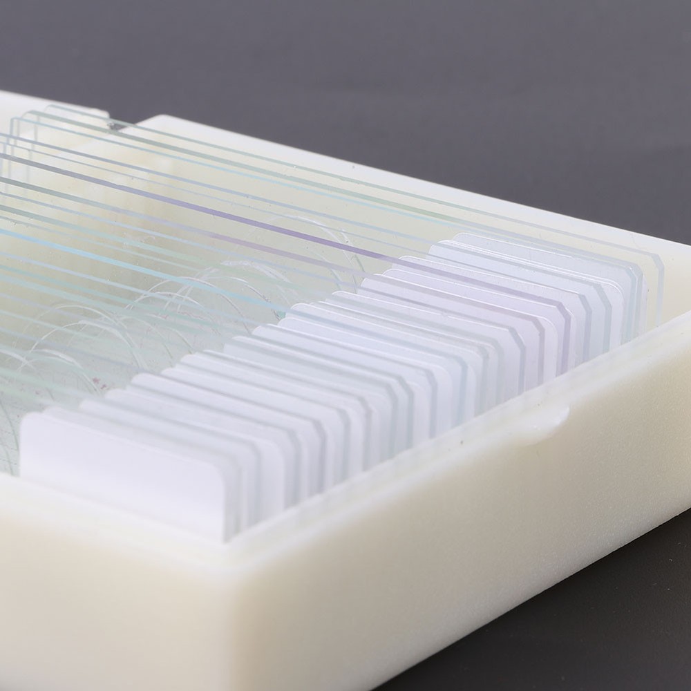 20pcs Microbiological Bacterial Specimens Biology Microscope Slices Lab Spec