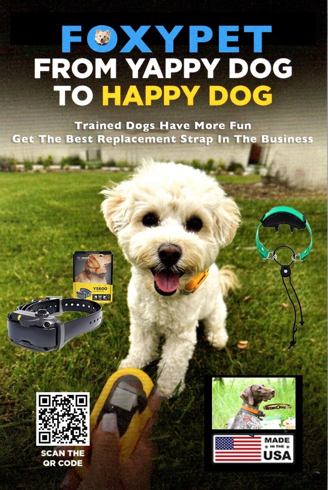 DT Systems Green Powerloads 100 Power Loads LOW Power