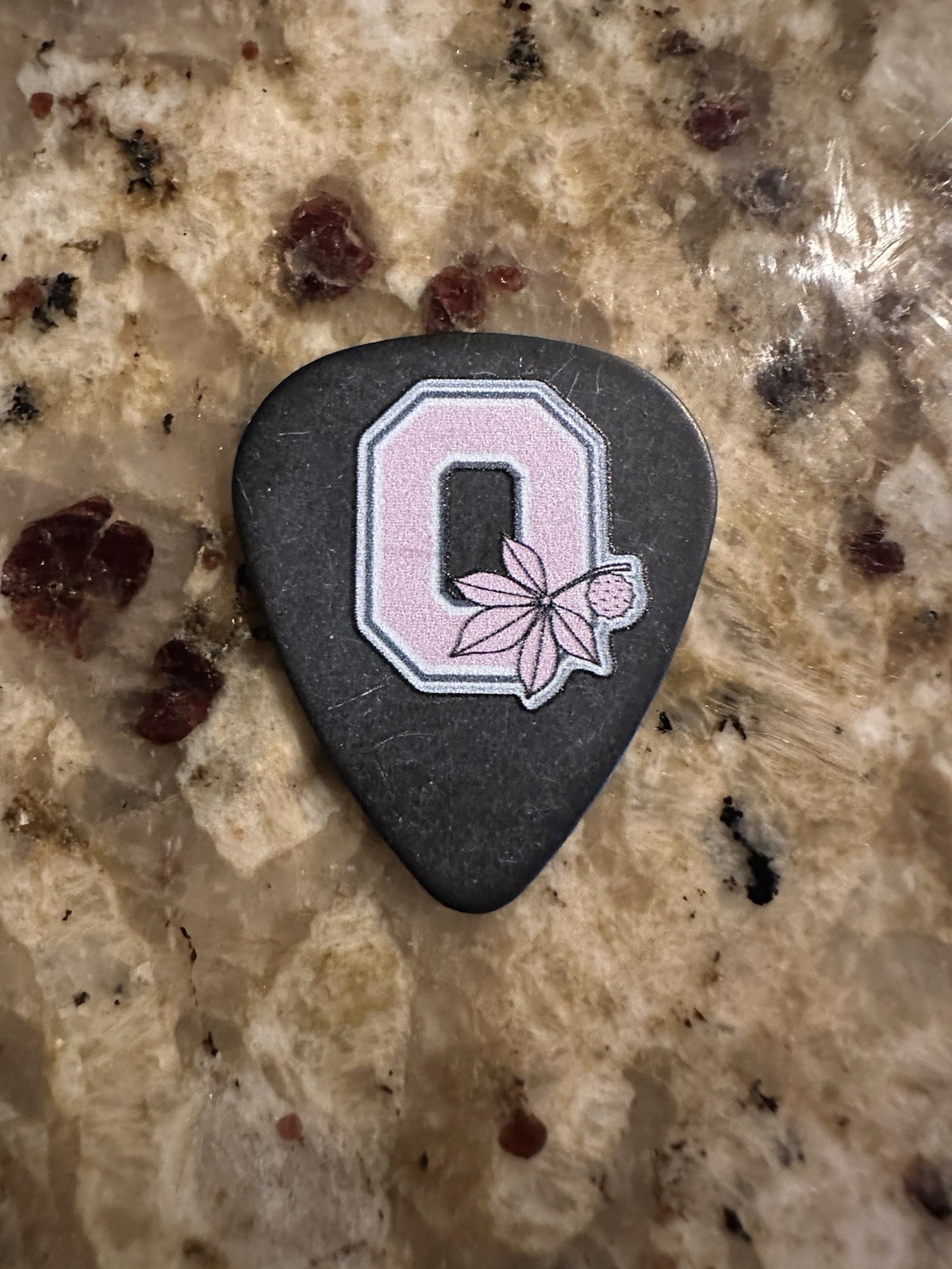 BEARTOOTH Will Deely Tour Guitar Pick