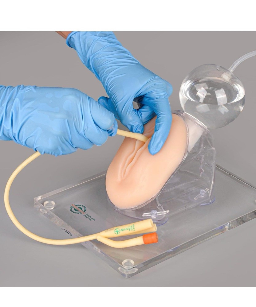 MedEduQuest Female Catherization Simulator For Students