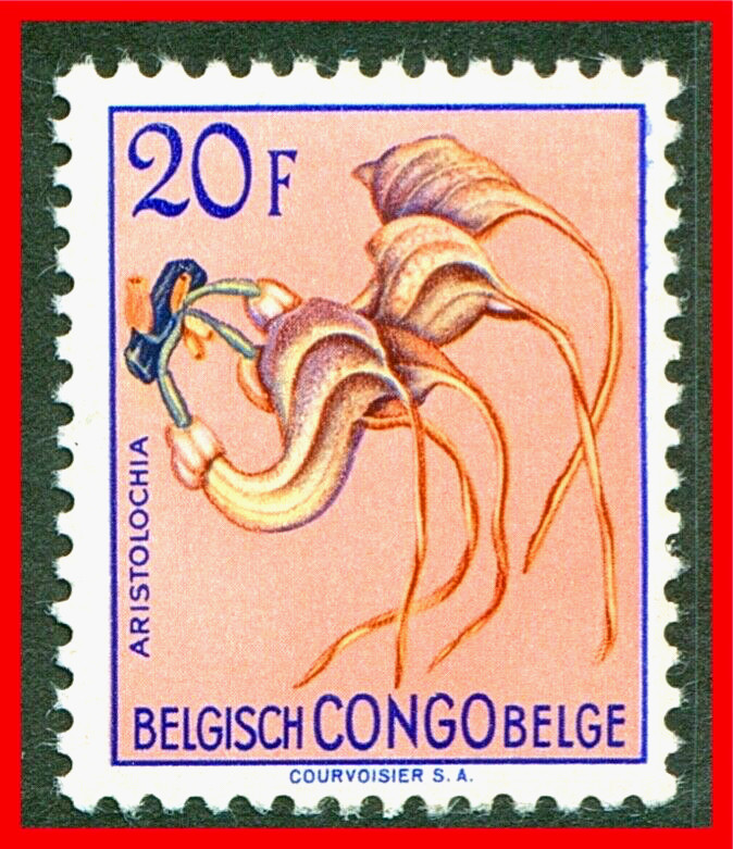 Belgian Congo Postage Stamp Scott 282, MNH!! BC247