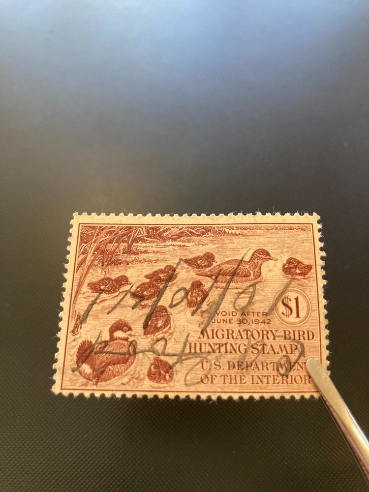 USA RW9 Used, HR, Missing Perf SCV $45.