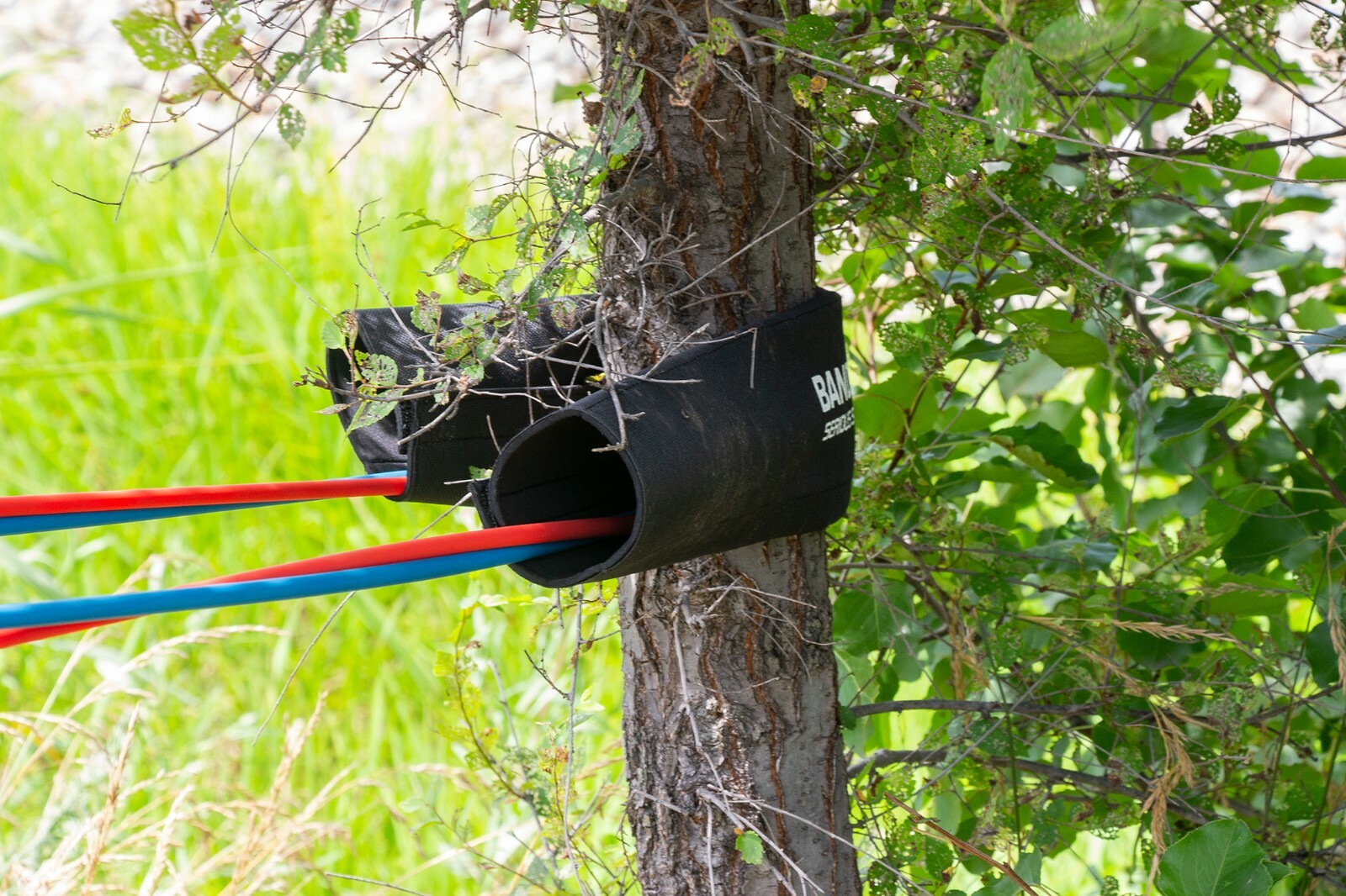 Serious Steel Fitness Band Guard | Resistance Band Cover (Bands Not Included)