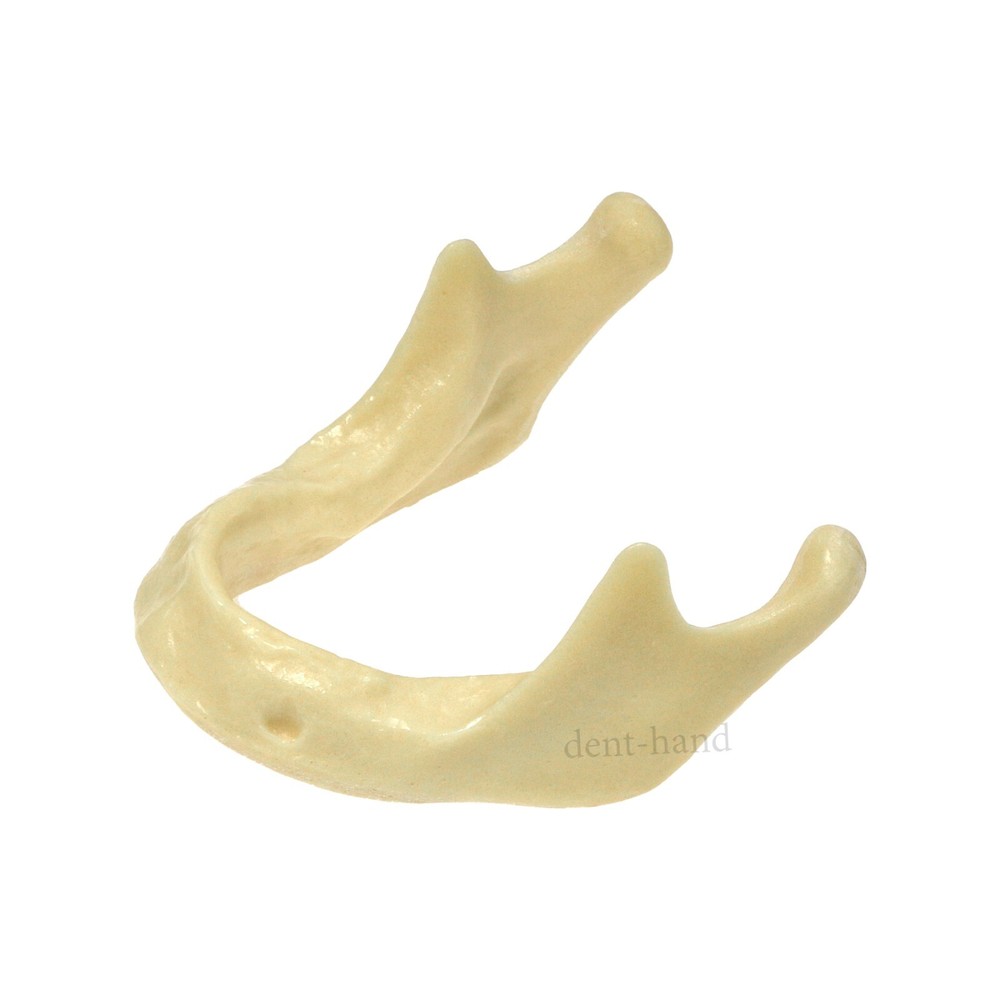 M2022 Dental Drilling Practice Model-Jaw For Implant Insertion Basic Practice