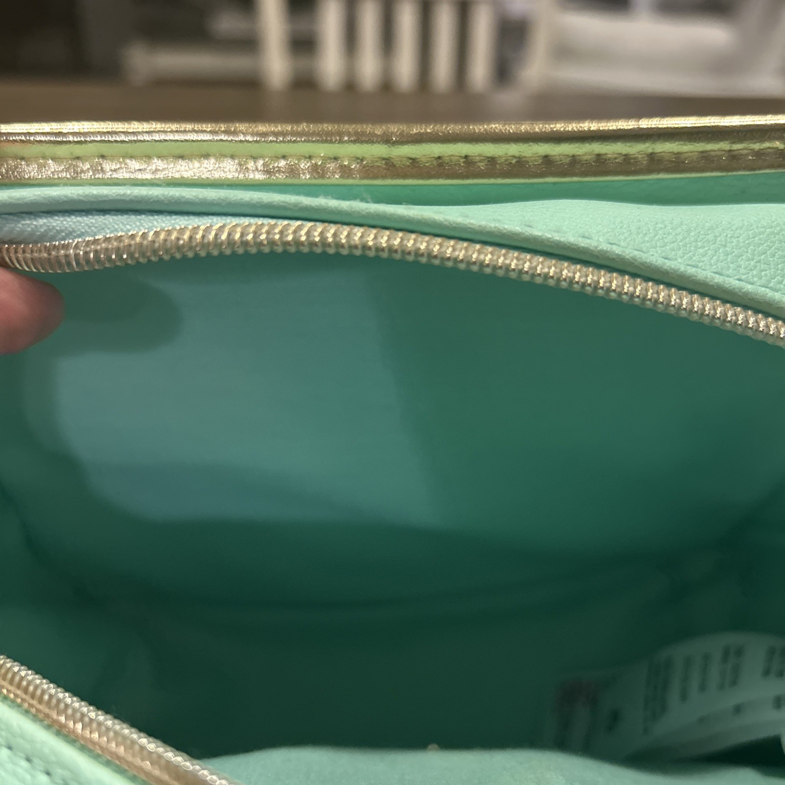 Disney Jasmine & Rajah Beautiful Crossbody Bag Danielle Nicole Teal Sparkle EUC