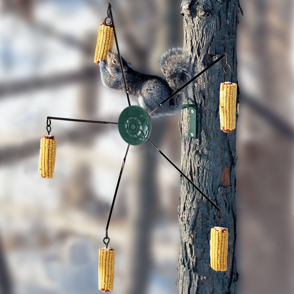 5560 Squirrel-Go-Round Squirrel Feeder