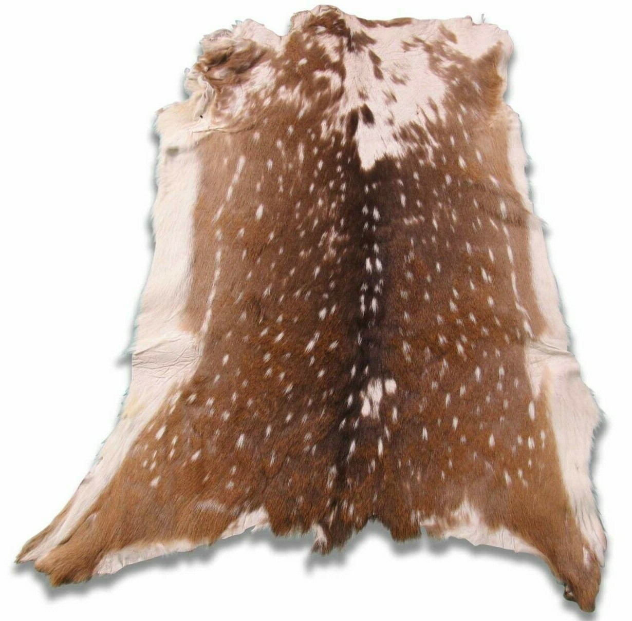 Axis Deer Skin Second Grade -Axis Deer Hide Size: 38"X30" Cheetal deer buck hide