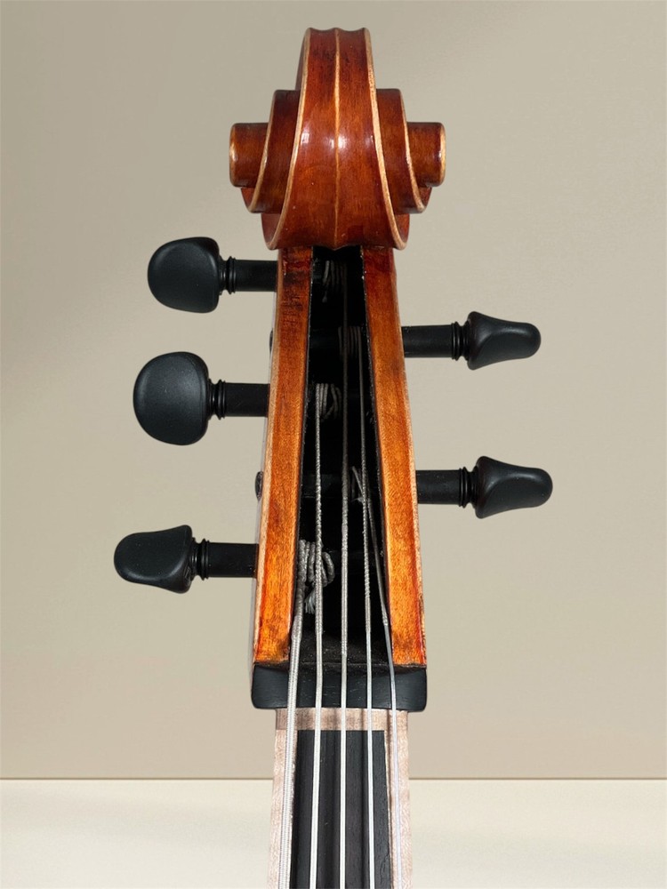 Simon Joseph 5 string cello (cello) da Spalla, to hang