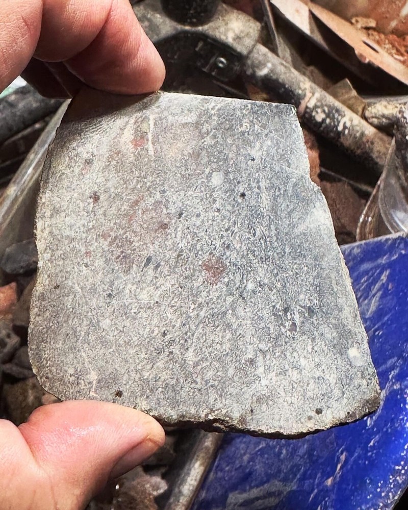 Dinosaur bone rough slab.