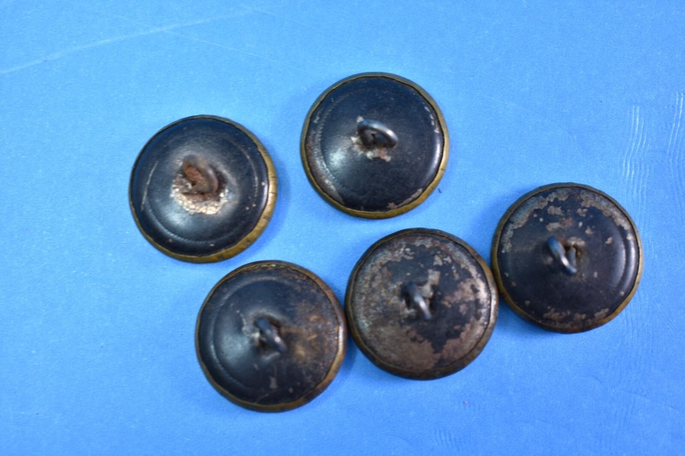 Antique Heraldic Lion Buttons