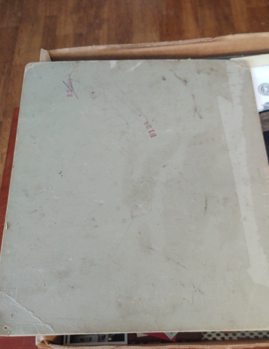 RARE 1919 Original USMC Photo 12X10" US marines ,Phila Parade , Opha May Johnson